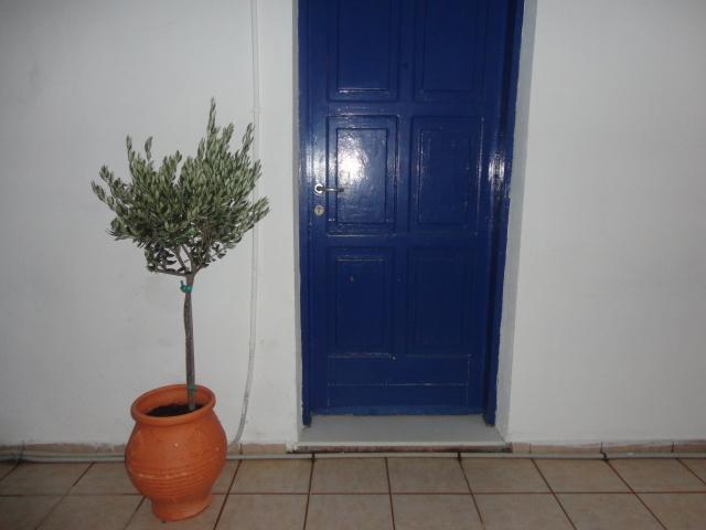 Pavlos Rooms Livadia  Dış mekan fotoğraf